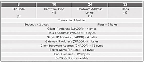 A figure shows DHCPv4 header fields.