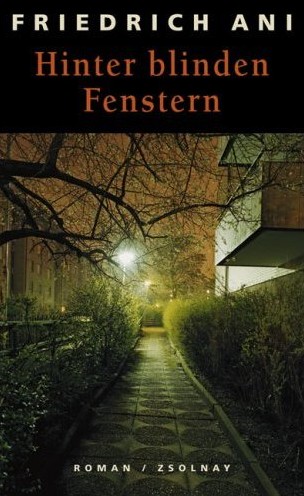 Hinter blinden Fenstern