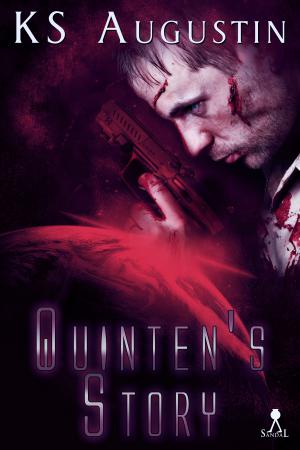 Quinten's Story cover