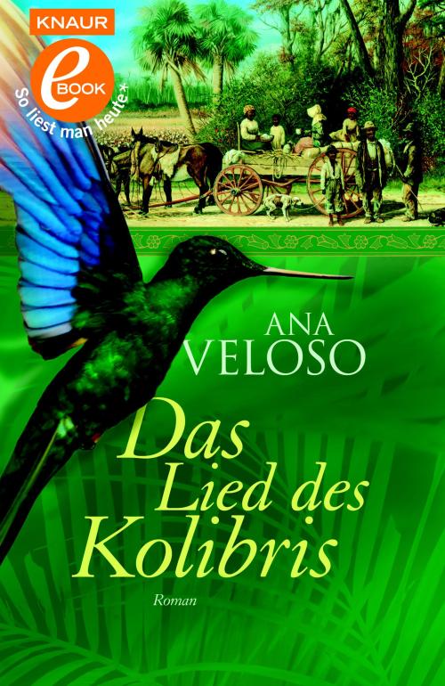 Das Lied des Kolibris