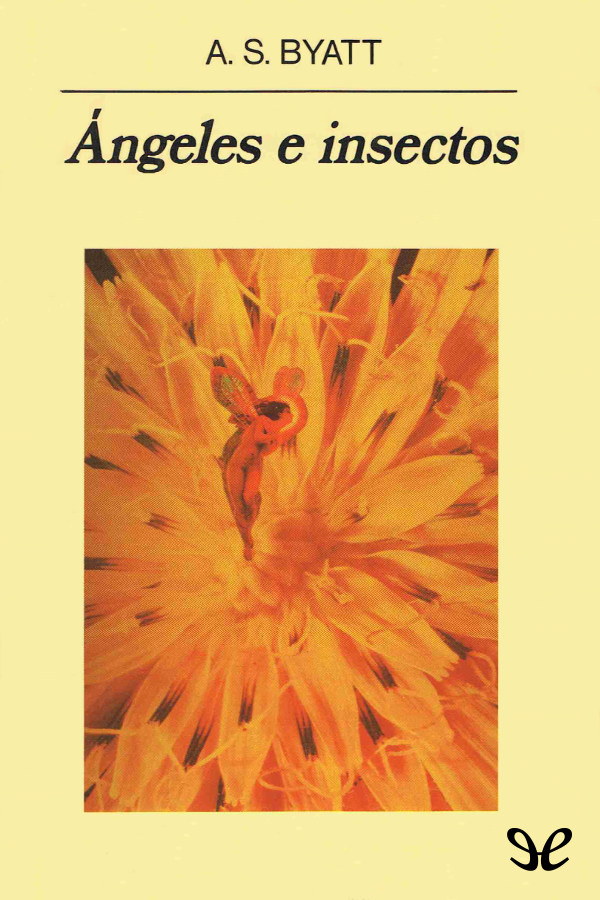 Ángeles e insectos