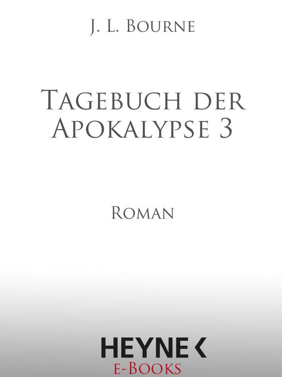 Tagebuch der Apokalypse 3: Roman