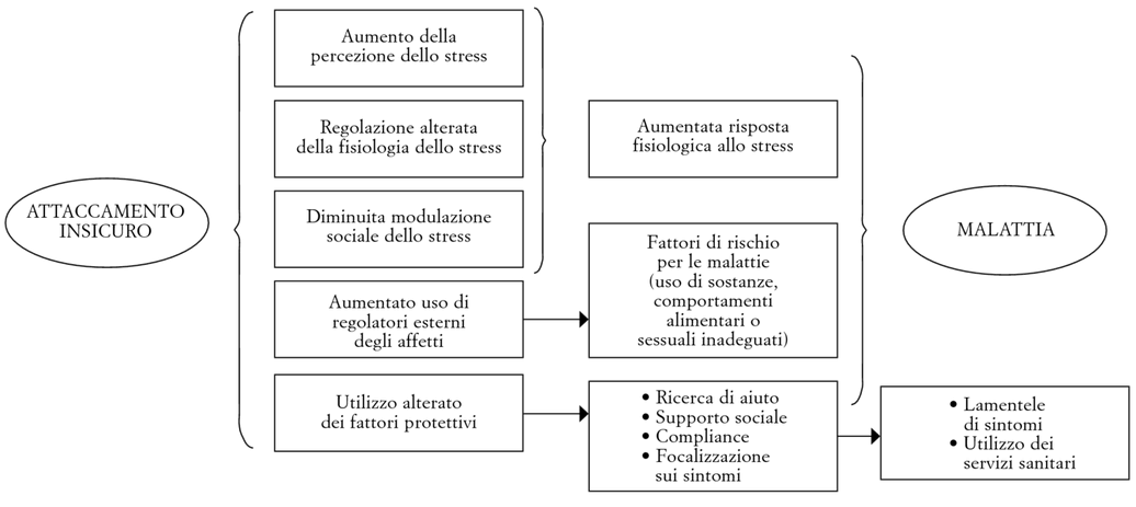 FIG. 7.6. Meccanismi attraverso i quali l’attaccamento insicuro può contribuire alla malattia.