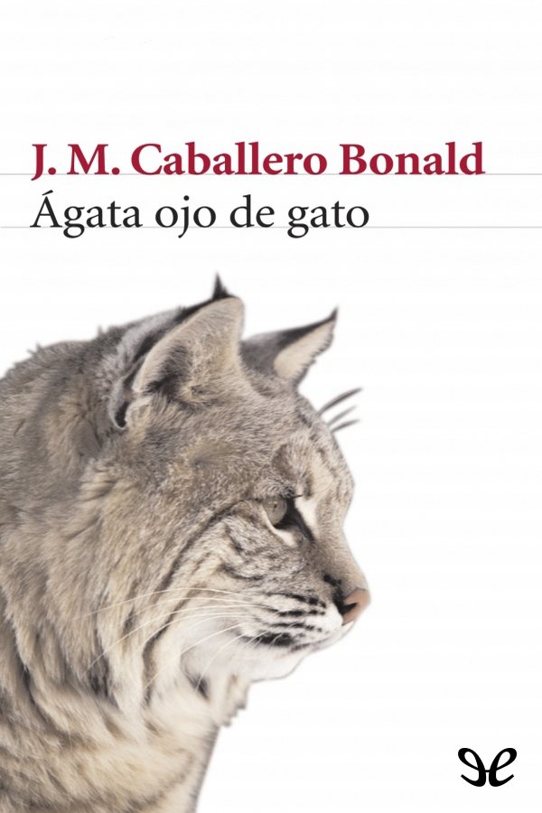 Ágata ojo de gato