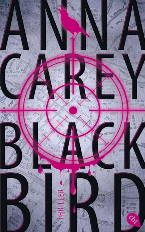 Blackbird: Band 1