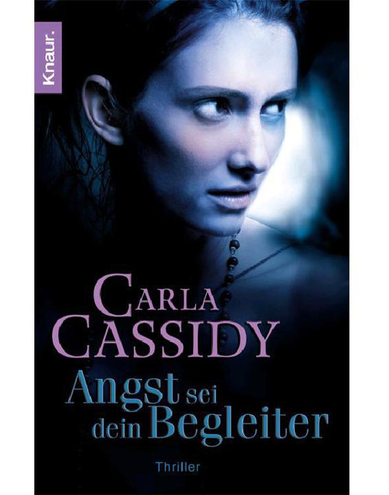 Angst sei dein Begleiter: Thriller