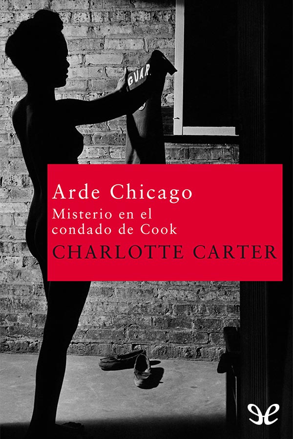 Arde Chicago