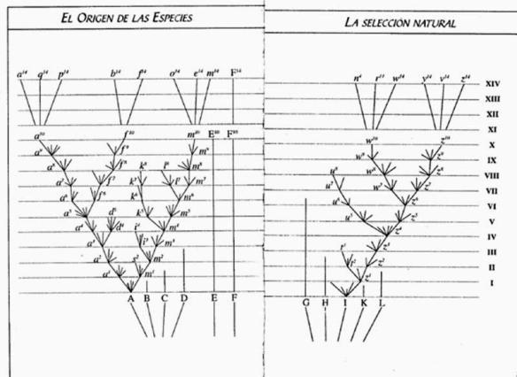 El origen de las especies