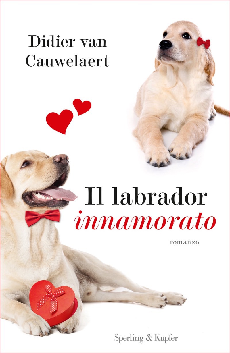 Il labrador innamorato