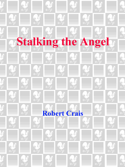 Stalking the Angel