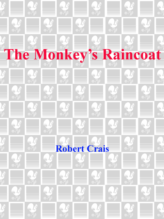 The Monkey's Raincoat