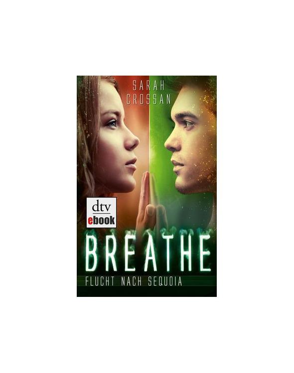 Sarah Crossan - Breathe Band 2 - Flucht nach Sequoia