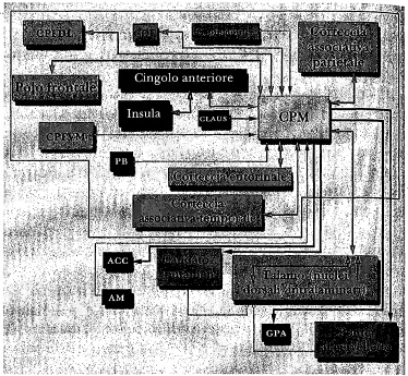 fig. 9.4