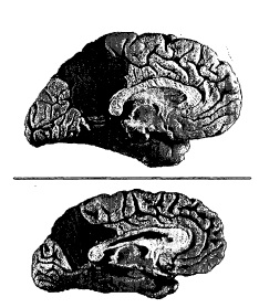 fig. 9.6