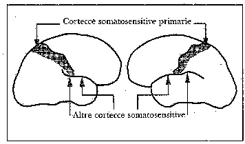 fig. 4.2