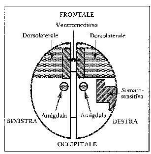 fig. 4.4