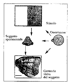 fig. 5.2