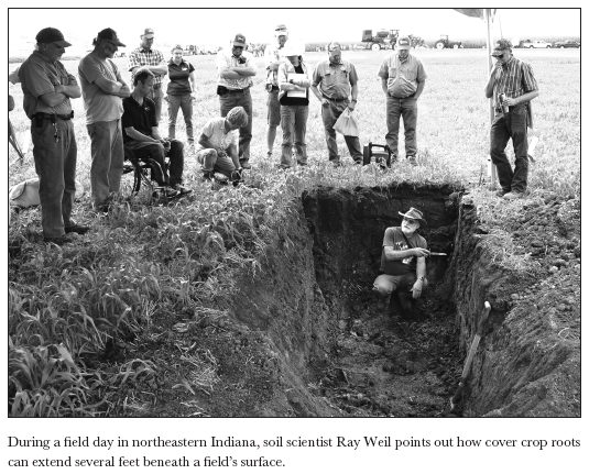 Image: During a field day in northeastern Indiana, soil scientist Ray Weil points out how cover crop roots can extend several feet beneath a field’s surface.