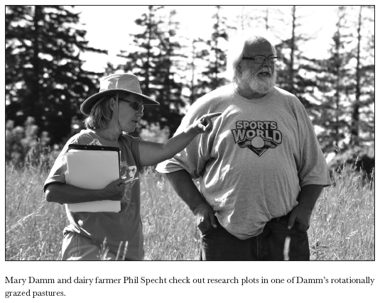 Image: Mary Damm and dairy farmer Phil Specht check out research plots in one of Damm’s rotationally grazed pastures.