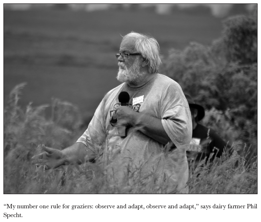 Image: “My number one rule for graziers: observe and adapt, observe and adapt,” says dairy farmer Phil Specht.