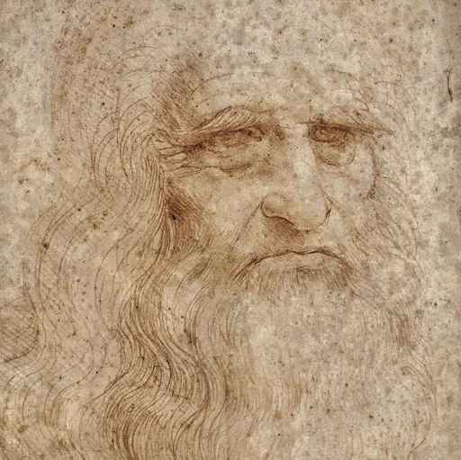 Leonardo,Autoritratto, particolare, 1512 ca, sanguigna su carta, cm 33