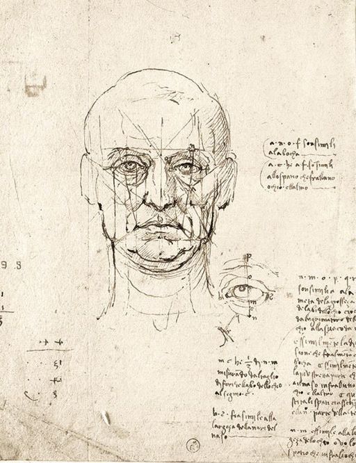 Leonardo,Codice di Anatomia,Studio di proporzioni del volto e dell’occhio, 1512, cm 29,2