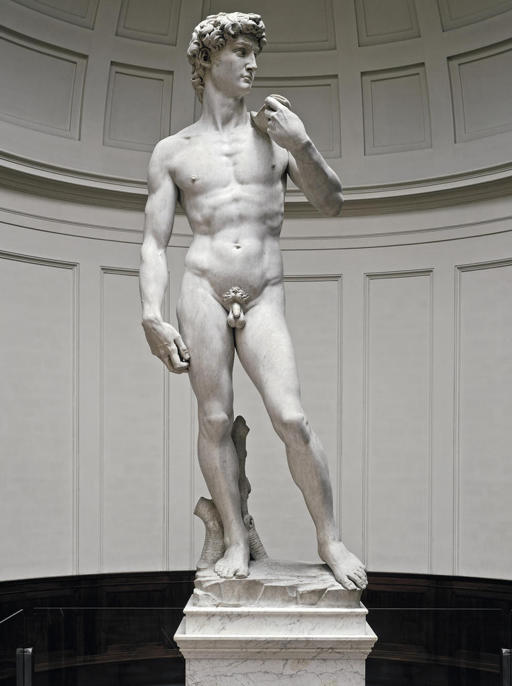 Michelangelo,David, 1501-1504, marmo, altezza cm 410, Firenze, Galleria dell’Accademia 