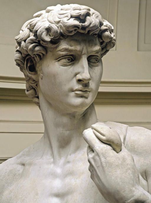 Michelangelo,David, particolare 