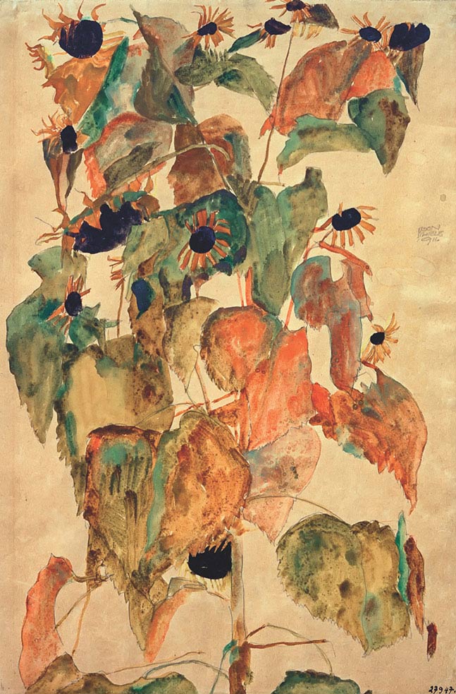 Egon Schiele, Girasoli, 1911, acquerello, cm 44,5×30,5, Vienna, Albertina, Graphische Sammlung