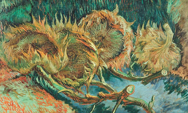 Vincent van Gogh, Quattro girasoli appassiti, 1887, olio su tela, cm 60×100, Otterlo, Rijksmuseum Kröller-Muller