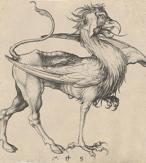 Martin Schongauer, Grifo, 1485 ca, incisione, New York, The Metropolitan Museum of Art