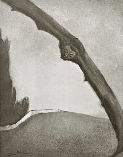 Alfred Kubin, Il muro del cimitero, 1902, inchiostro acquerellato su carta, cm 24,2x18,3, Linz, Schlossmuseum der Oberösterreichischen Landesmuseen