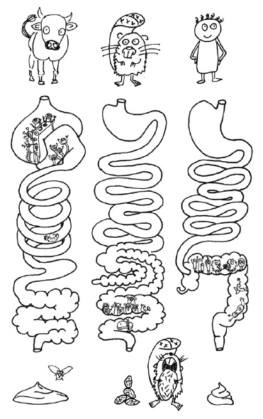 voedselmachine.pdf