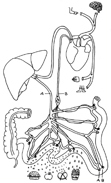 voedselmachine.pdf