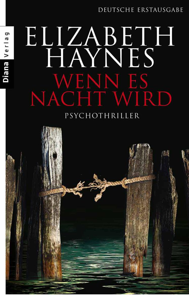 Wenn es Nacht wird: Psychothriller