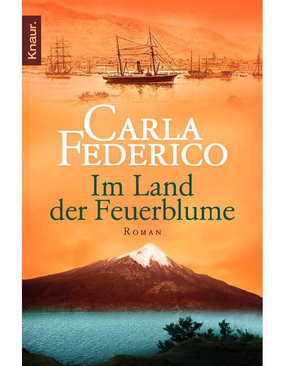 Im Land der Feuerblume: Roman