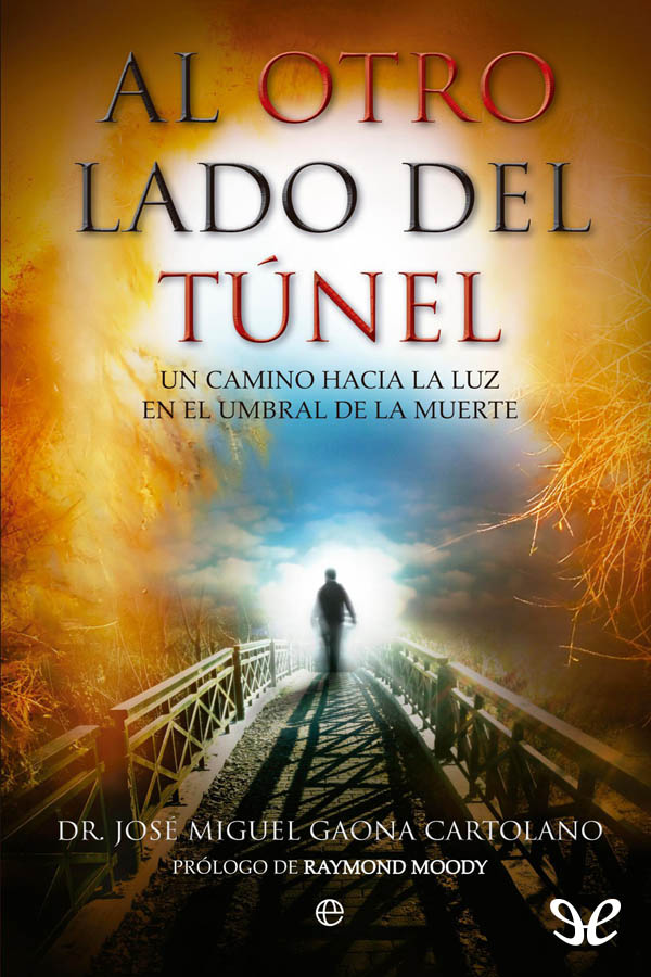 Al otro lado del túnel