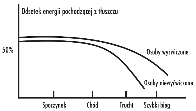 SPALANIE TŁUSZCZU TO NIE TYLKO „DROŻDŻÓWKA KONTRA BIEG”