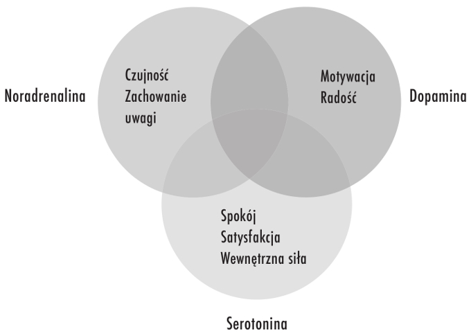 CZĘŚĆ DRUGA WZMOCNIJ SWÓJ MÓZG