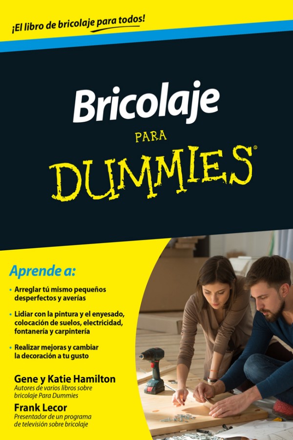 Bricolaje para dummies