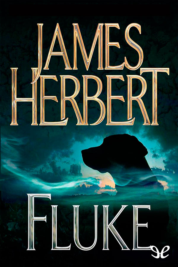 Fluke