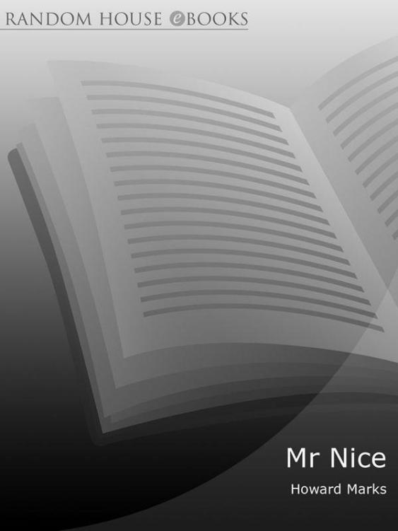 Mr Nice