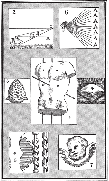 plate 8