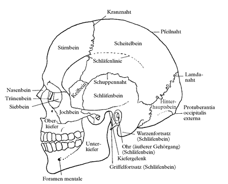 Der Knochenleser - Der Gruender der legendaeren Body Farm erzaehlt 