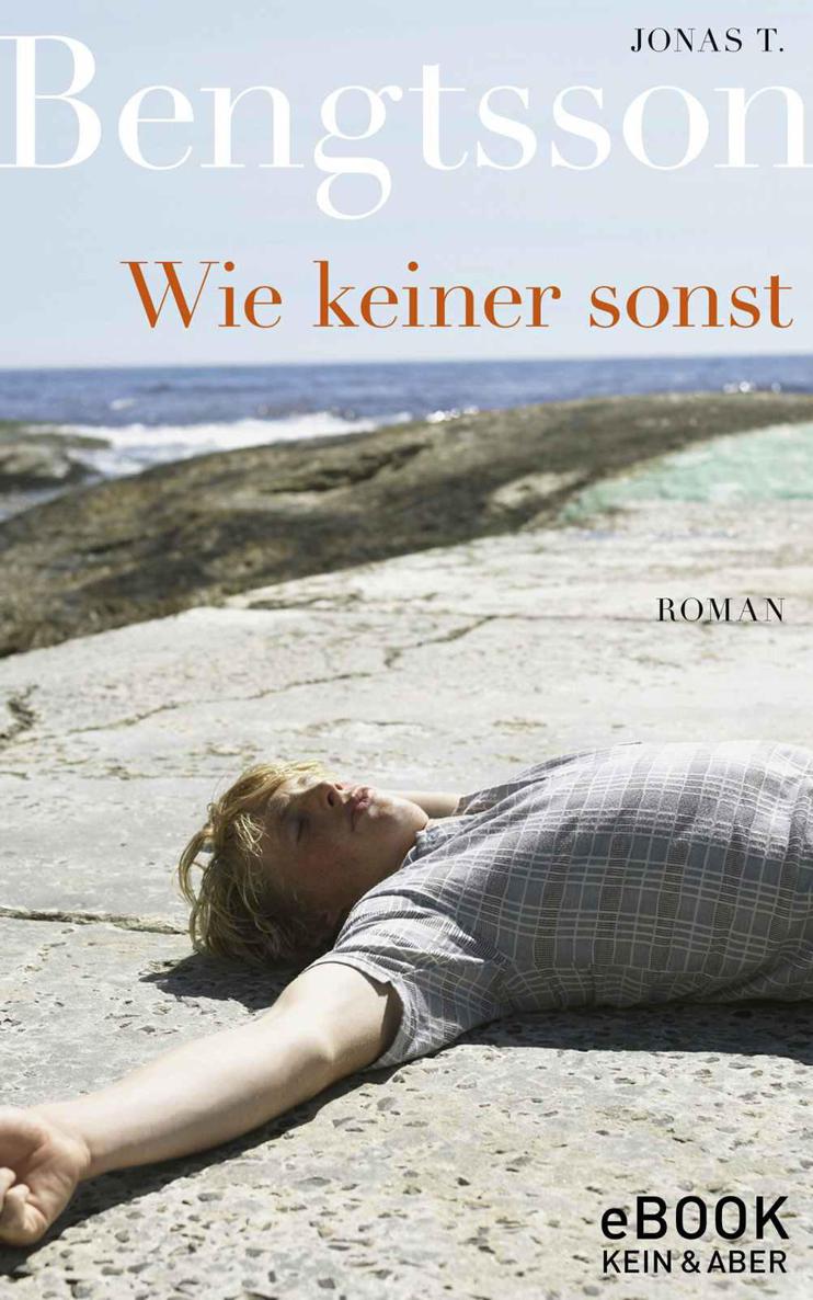 Wie keiner sonst / ebook