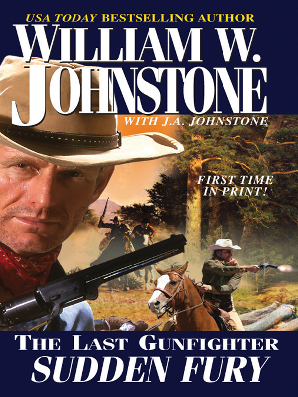 The Last Gunfighter