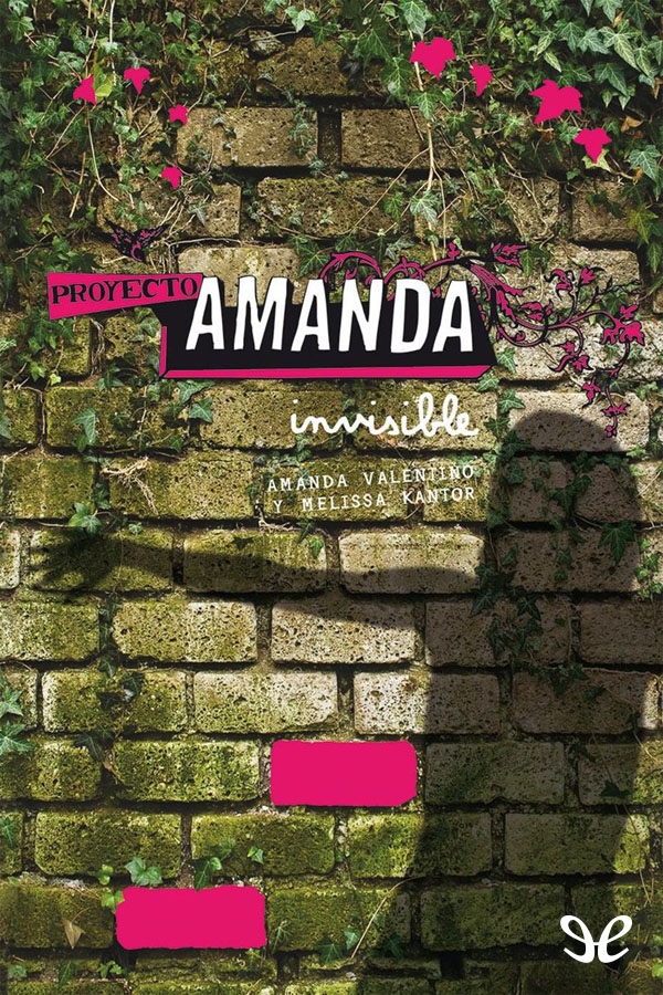 Proyecto Amanda Invisible