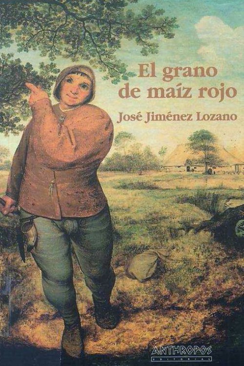 El grano de maíz rojo