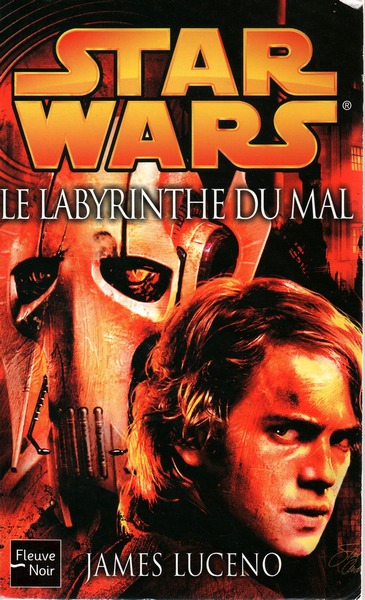 Le labyrinthe du mal