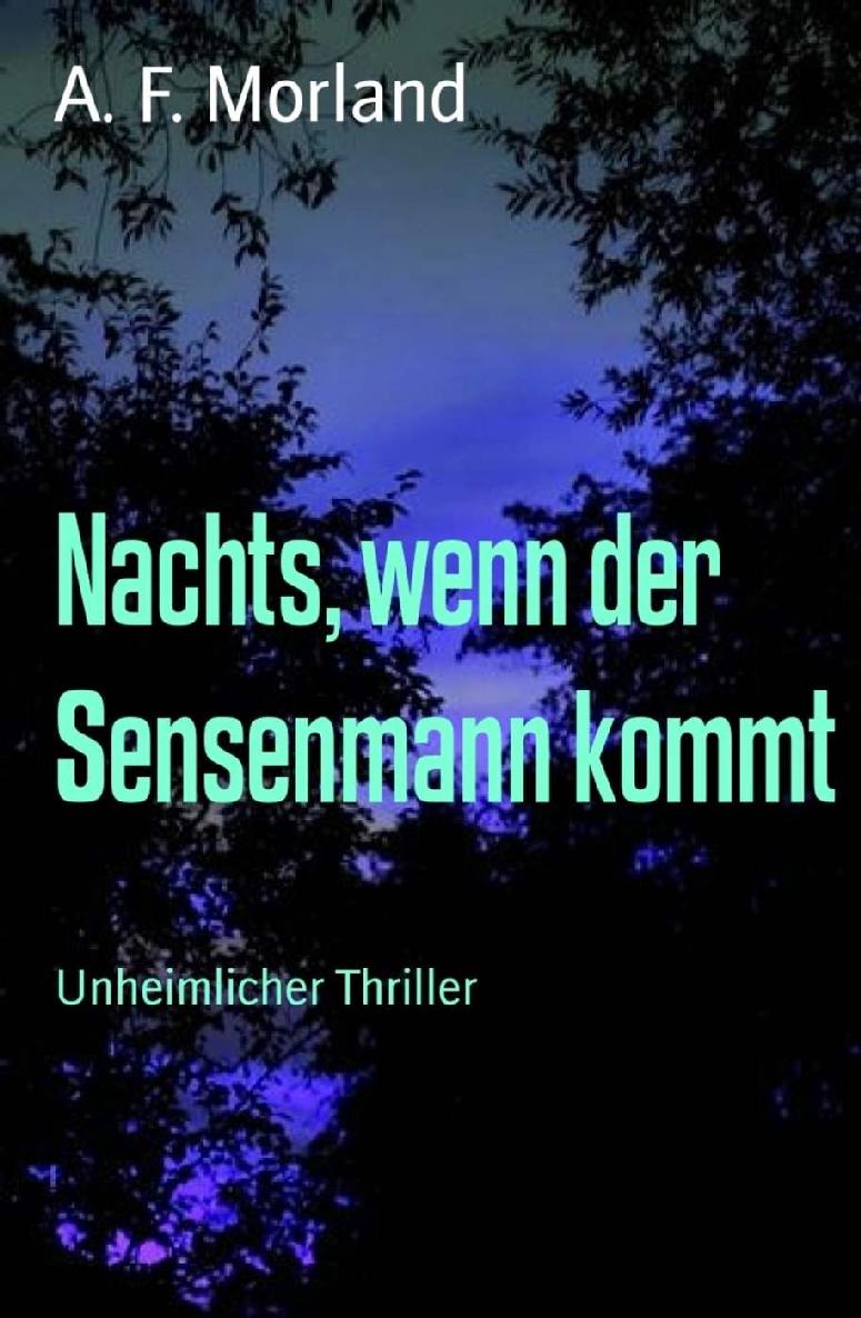 Nachts, wenn der Sensenmann kommt: Unheimlicher Thriller